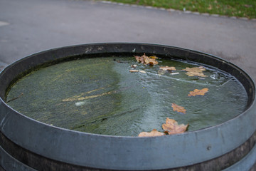 water in a wooden barrel top view