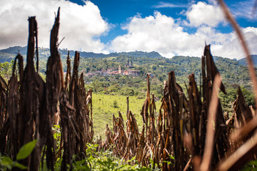 Ma&iacute;z en Xochitl&aacute;n