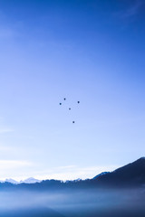 Air Balloons flying in blue sky over misty lake Lucern, Swirtzerland