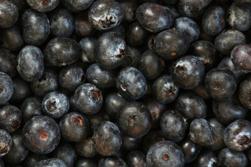 Background formed with ripe blueberry	