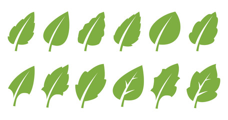 Green leaf set