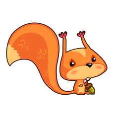 Orange squirrel with big tail sit with brown acorn