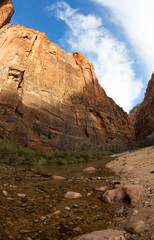 Extreme wide-angle or fisheye image of steep cliffs and winter foliage in Zion National Park, Utah