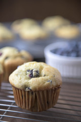 home made blueberry muffin image