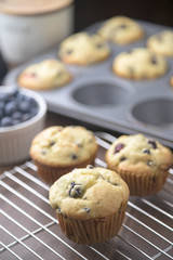 home made blueberry muffin image