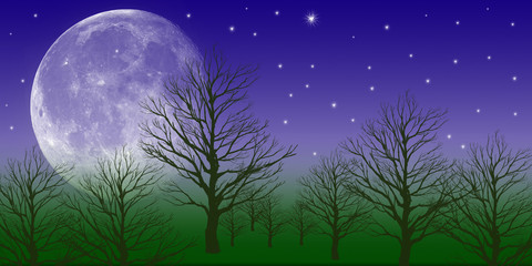 Fototapeta premium paesaggio notturno