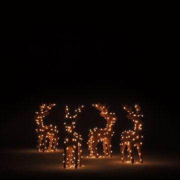 Christmas Deer Lights on dark background