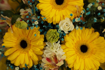 Beautiful flowers as background, closeup. Floral decor