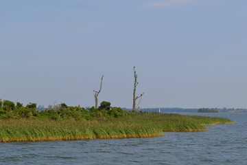Wyspa kormoranów, Mazury, Polska © Marta