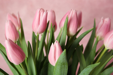 Bouquet of beautiful spring tulips on light pink background, closeup