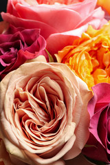 Beautiful fresh roses as background, closeup view. Floral decor