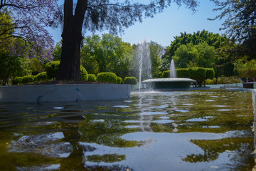 fuente de parque con muchos arboles