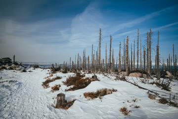 Winter trip to Plechy and Trojmezi, Šumava national Park.