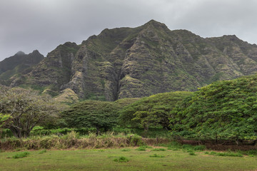 Kaaawa, Oahu, Hawaii, USA. - January 11, 2020: Green tree belt in front of tall brown rocky cliffs under gray cloudscape near Kualoa Ranch area. - Powered by Adobe