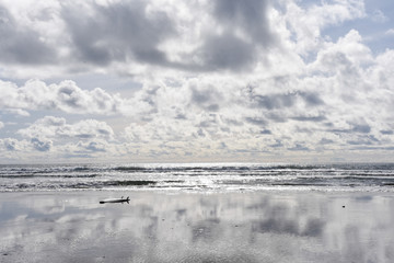 Obraz premium Surfboard on the shore on a beach in Oregon