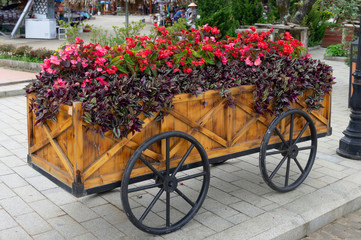 Fototapeta na wymiar Colorful flowers on trolley or cart wooden in garden