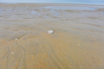 Beach or about the beach, water, sand, dunes, Camber sands.