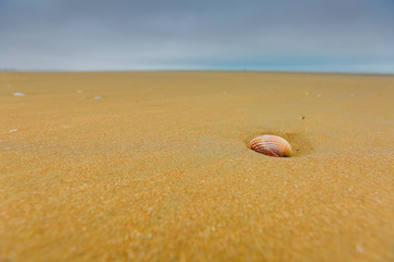 Beach or about the beach, water, sand, dunes, Camber sands.