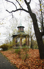 Beautiful public garden in Wilanow, Poland - 319572132