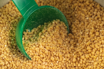 Soya Lecithin Granules and plastic spoon, macro photo. Vitamin and dietary supplements. Healthy nutrition concept.