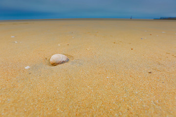 Fototapeta na wymiar Beach or about the beach, water, sand, dunes, Camber sands.