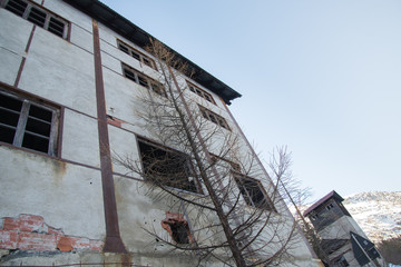 Facade of an old abandoned factory behind a tree