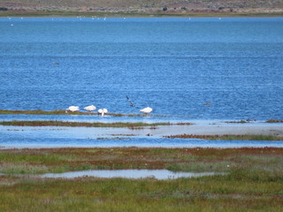 Reserva Laguna Nimez