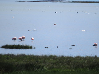 Reserva Laguna Nimez