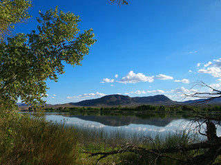 Lakeside Reflections in a Desert Oasis