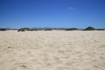 Piasek,plaża,Fuartaventura