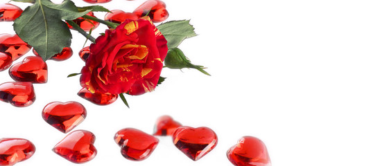 Rose and red glass hearts on a white background. Valentine's day, wedding day. Mockup, postcard. Banner.