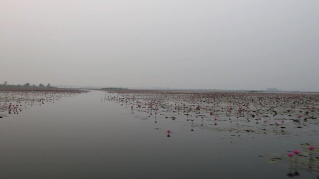 Udon Thani,Thailand-January 24, 2020: Morning scene of Red Lotus Lake or Talay Bua Daeng in Udon Thani, Thailand