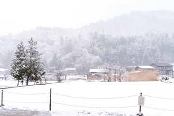 Shirakawa-Go of vintage japanese village in winter season with white snowing cover, Shirakawago Gifu, Japan is historic Japanese gassho villages, Travel traditional landmark famous world heritage
