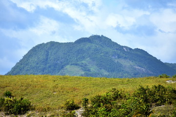 A Mountain View Forest And Sky