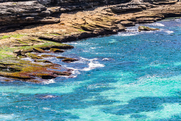 Close up of the coastline from the Coogee to Bondi walk