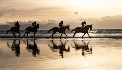 Silhouettes of race horses and jockeys racing on the beach, wild Atlantic way on the west coast of...