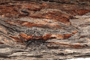 close up of the red and dark colors and textures of Native Australian 'stringy bark' trees, with twists and holes and valley patterns in the aged bark.