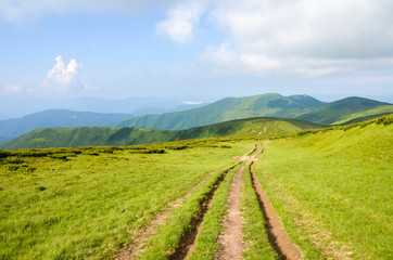 Fototapeta na wymiar Beautiful landscape view of road in green mountains with cloudy sky, Carpathians, Ukraine,