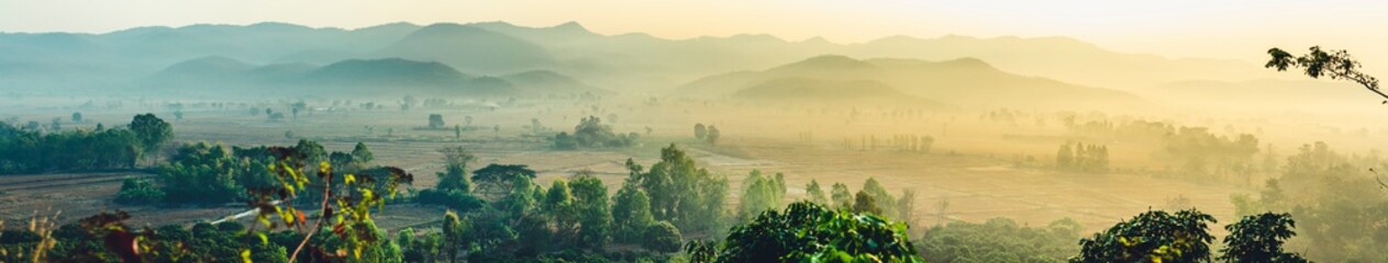 The beautiful panorama landscape of the tree in the rice fields, The sun's rays through at the top of the hill and the moving fog over the tree, Chiang Rai Northern  Thailand.