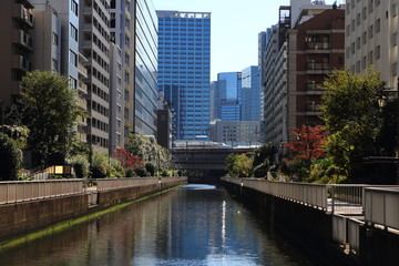 Fototapeta na wymiar 芝浦の運河と新幹線