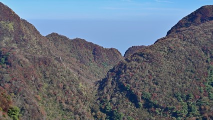 妙見岳展望所から見る紅葉情景＠雲仙、長崎
