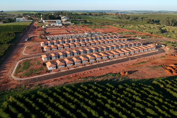 Aerial view of construction site of standardized popular houses, surrounded by a coffee plantation of the State of Sao Paulo,