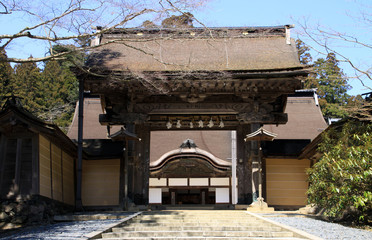 Fototapeta premium 高野山