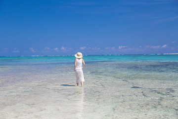 沖縄のビーチ、石垣島