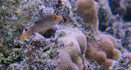 5mm