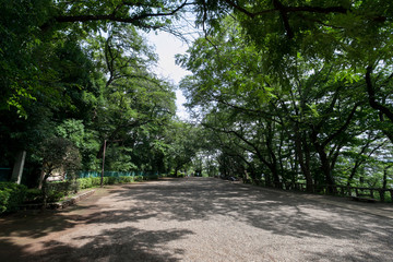 多摩川台公園（東京都大田区）