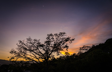 Fototapeta na wymiar Colorful sunset behind a tree