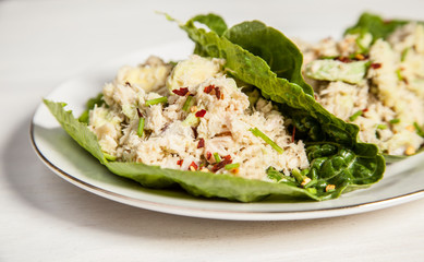 tuna fish and advocado sandwich