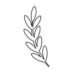 branch with leafs nature isolated icon