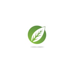 leaf vector template icon design